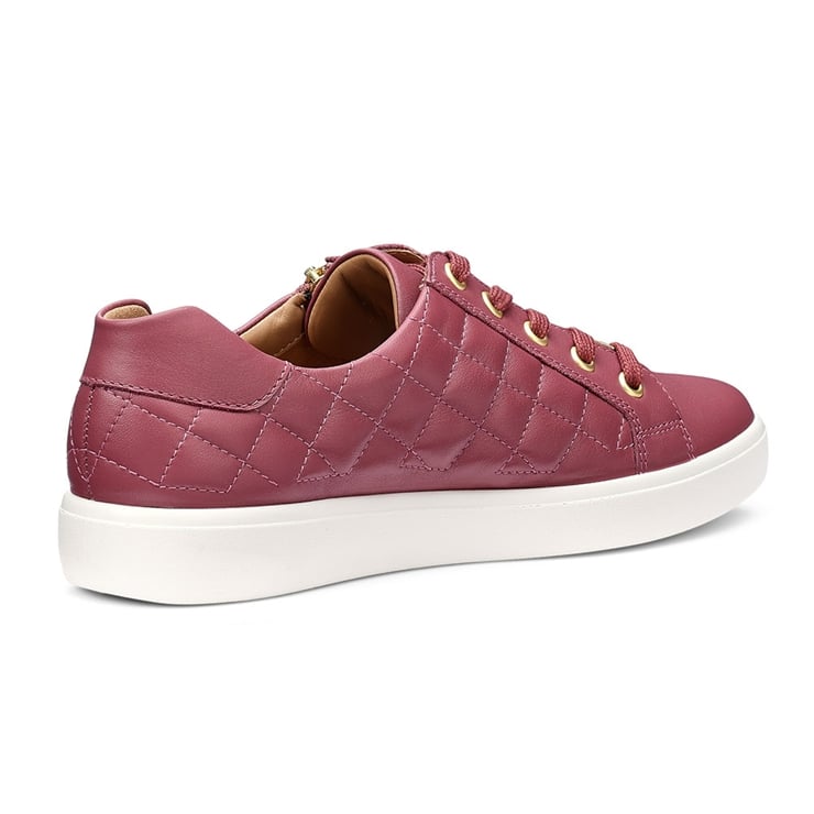 Wonder Trainers