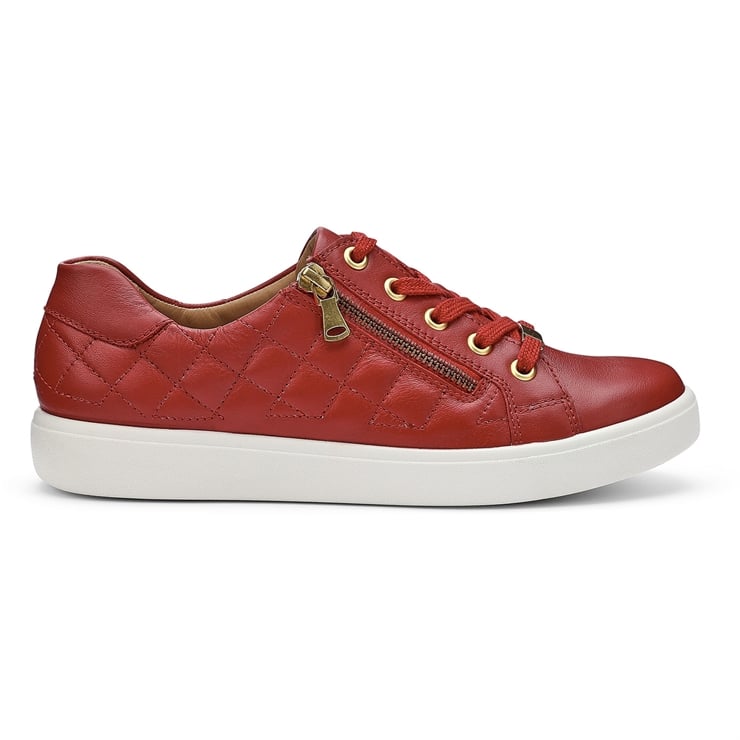 Wonder Trainers