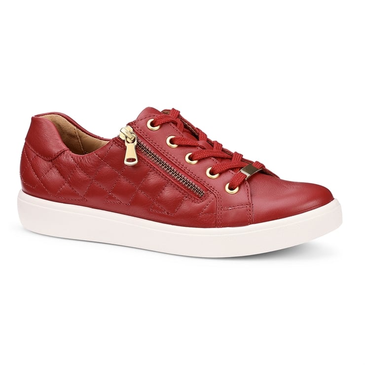 Wonder Trainers