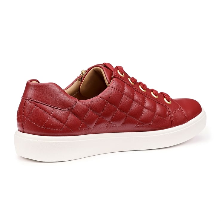 Wonder Trainers
