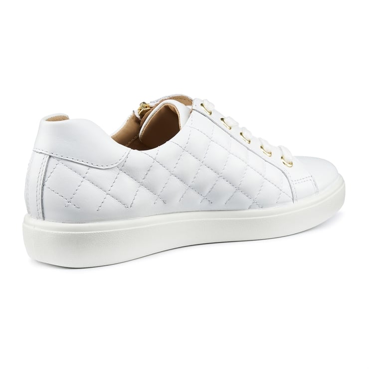 Wonder Trainers