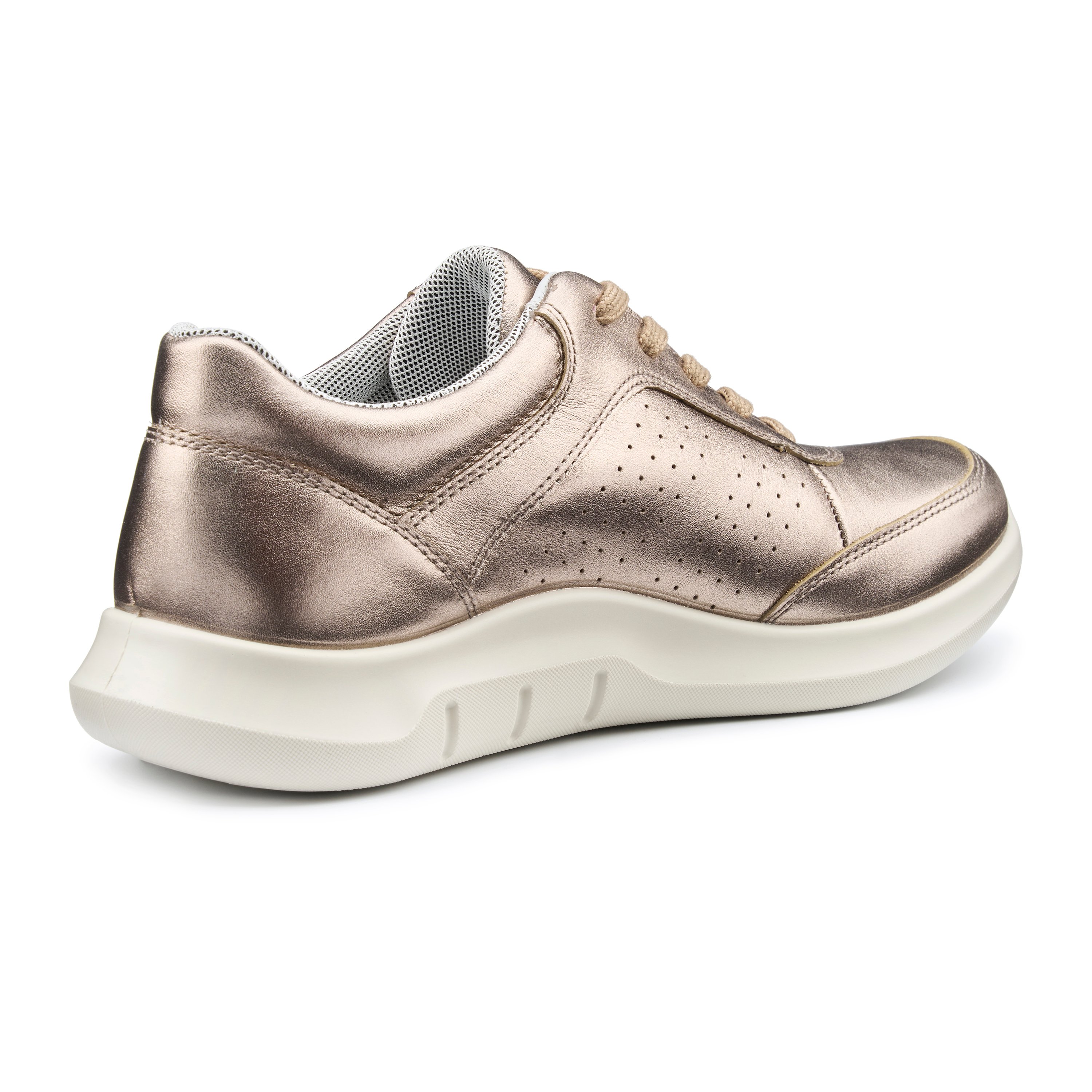 Orion Trainers