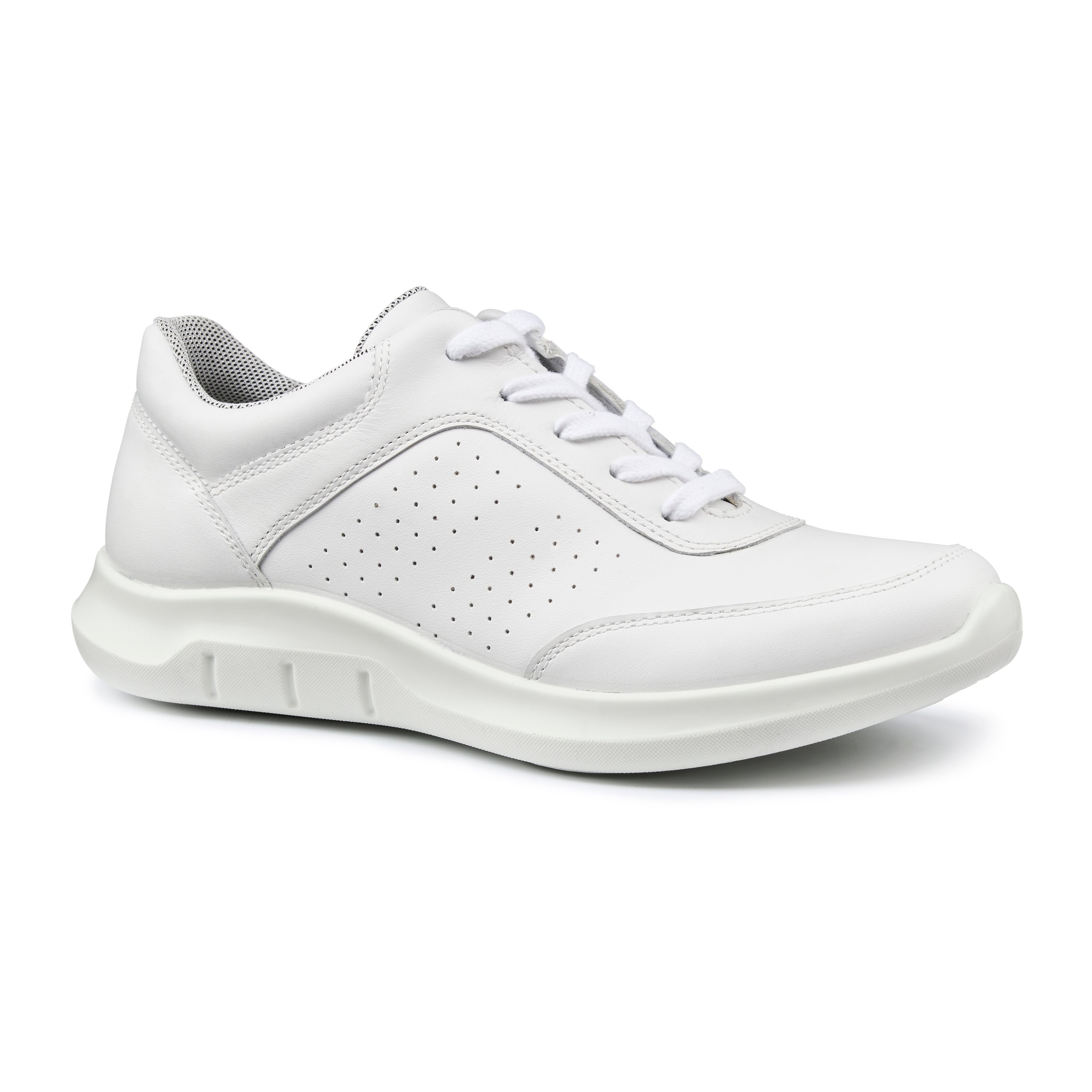 Orion Trainers