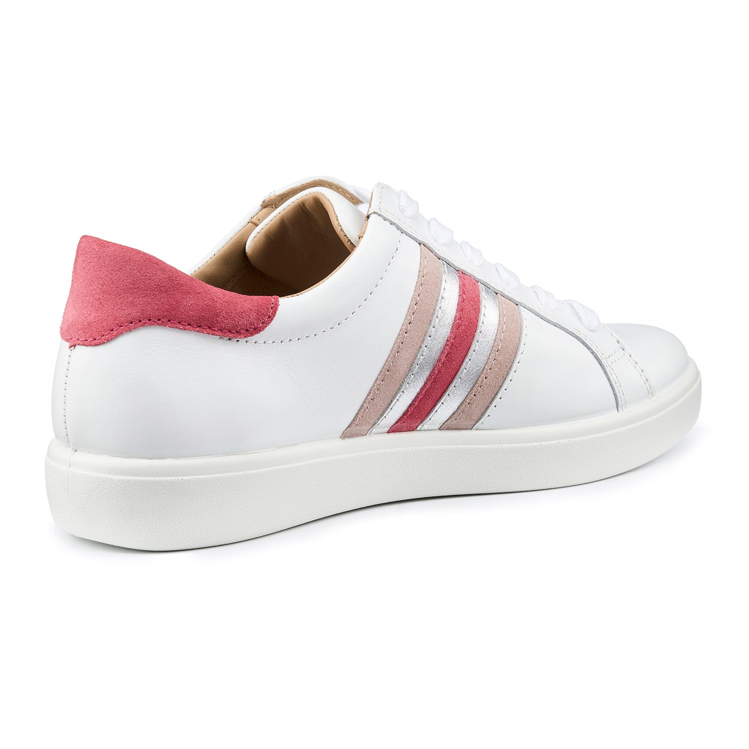 Switch Trainers