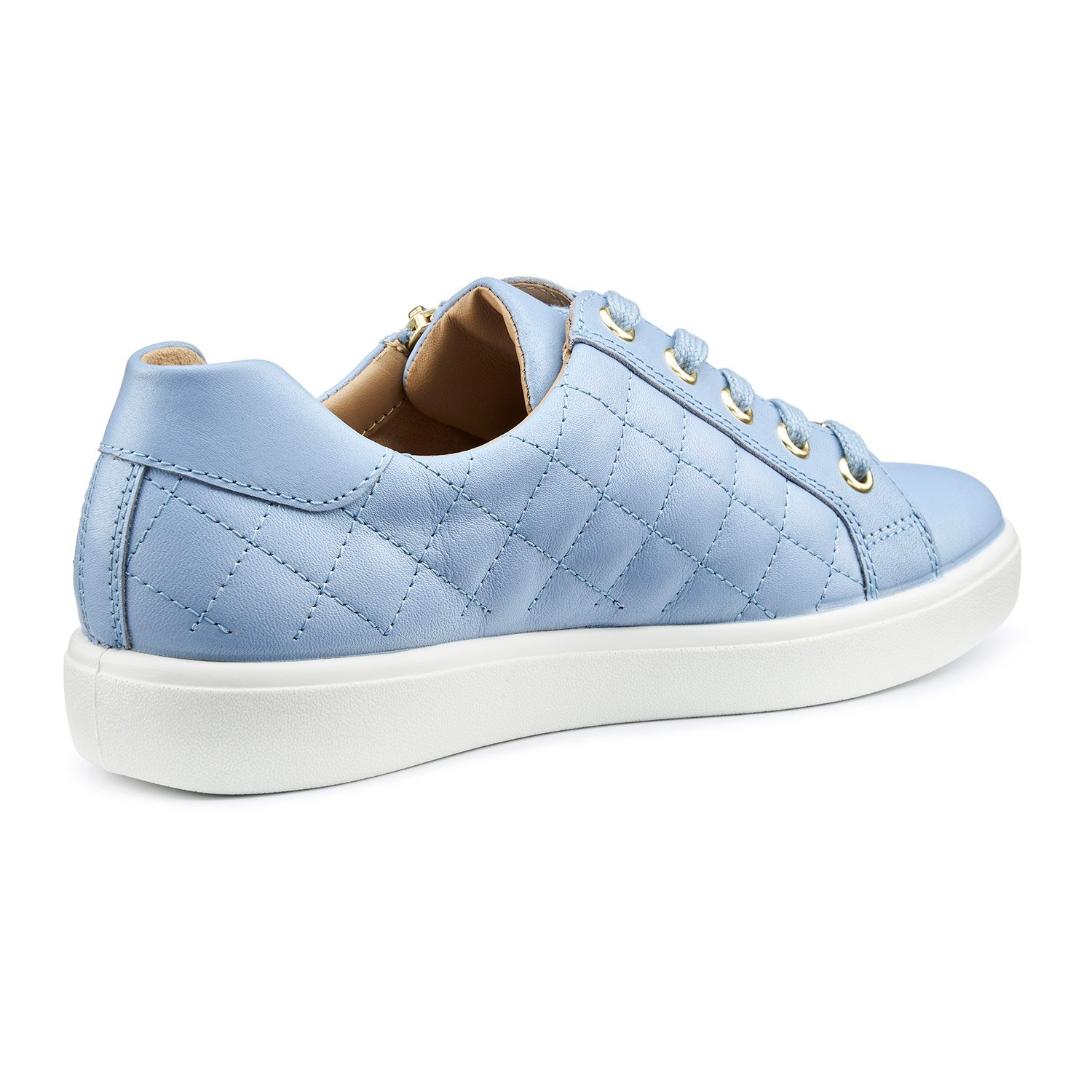 Wonder Trainers