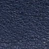 French Navy