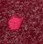 Maroon Multi