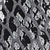 Black / Snake