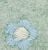 Pale Aqua Daisies