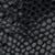 Black Lizard